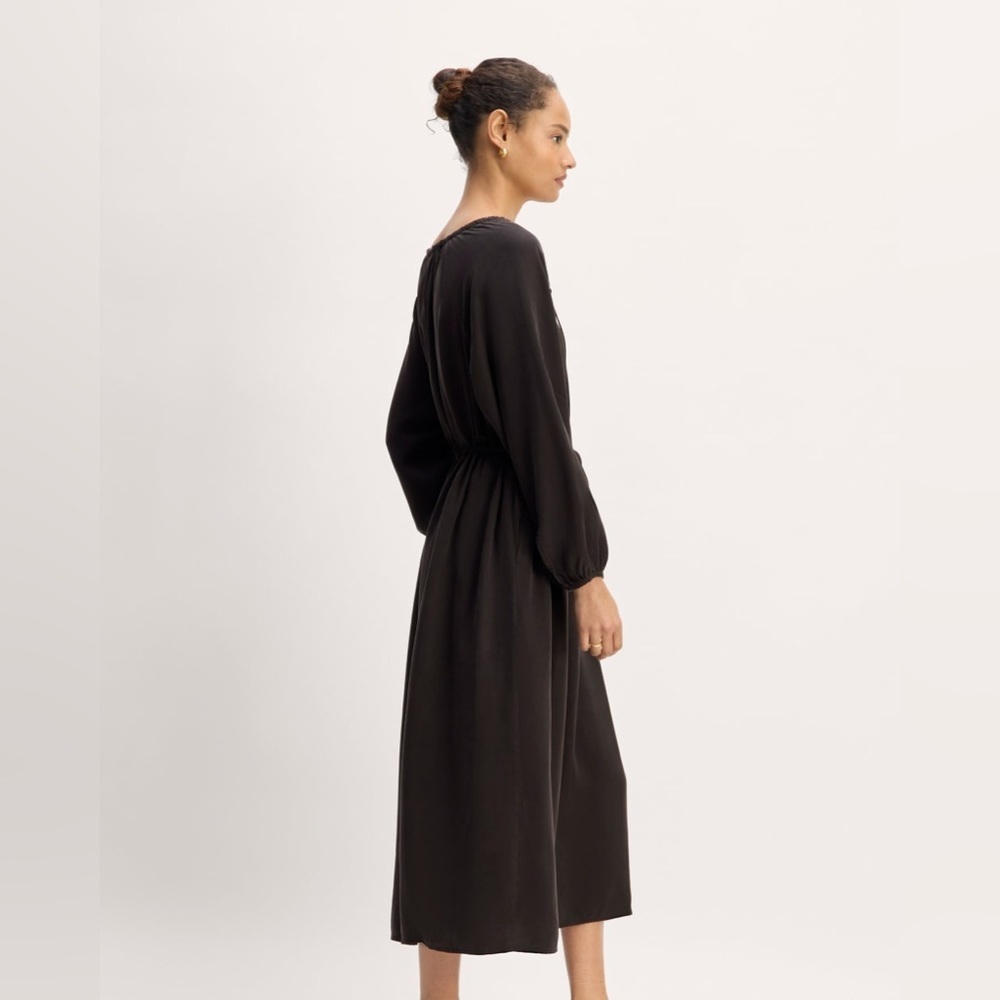 NWOT Everlane The Tencel Maxi Dress, Size L - Picture 4 of 9